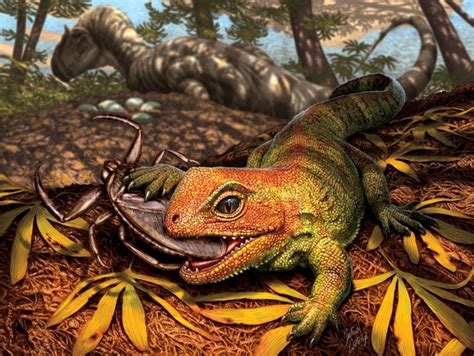  Xenosaurus: Can This Ancient Reptile Survive in a World Dominated by Lizards and Snakes?